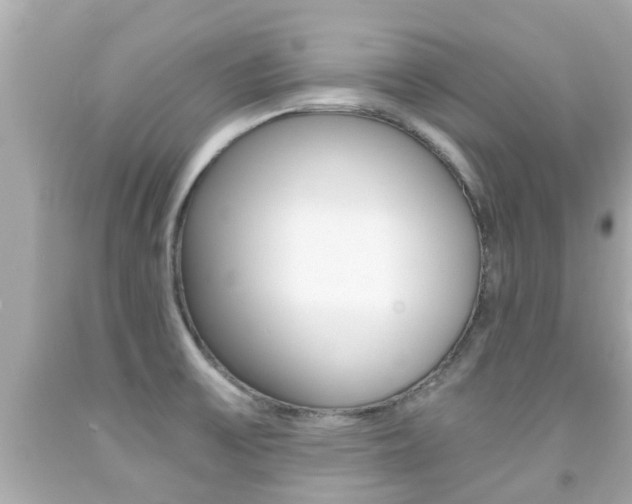 X0000091861475200709050946
