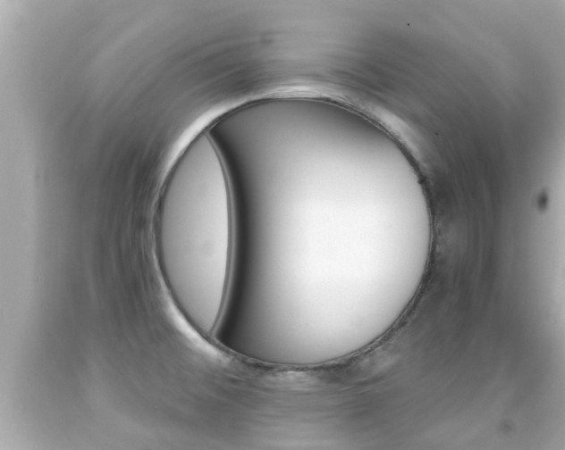 X0000091861476200709050946