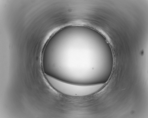 X0000091861477200709050946