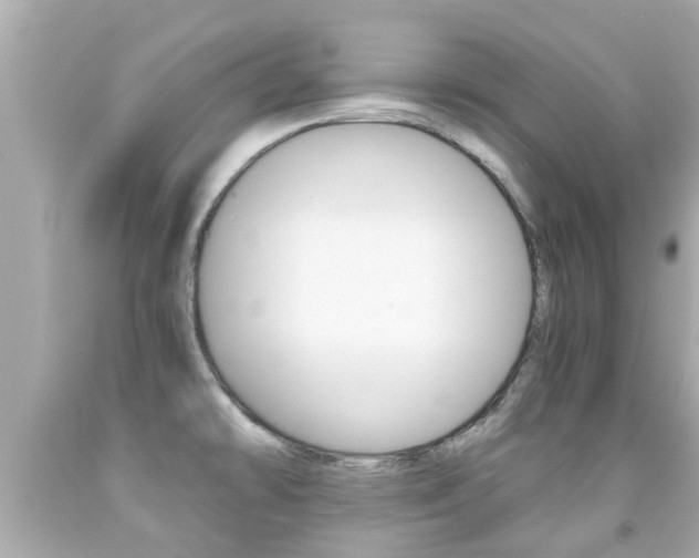 X0000091861478200709050946
