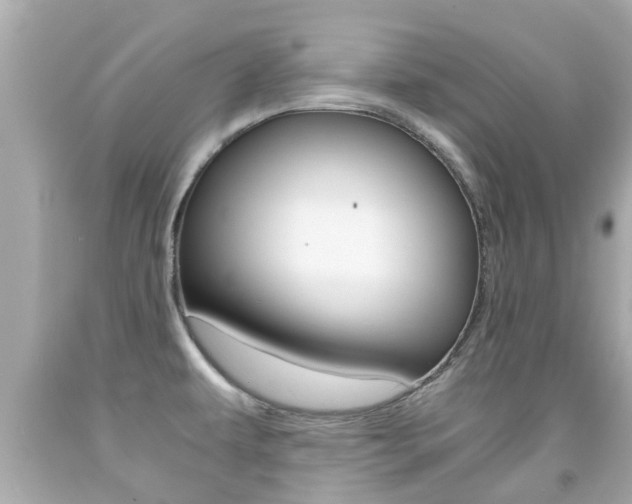 X0000091861479200709050946