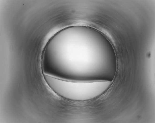 X0000091861480200709050946