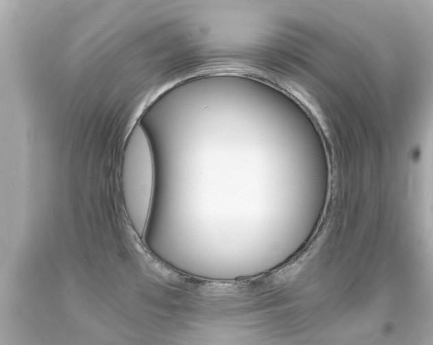 X0000091861481200709050946