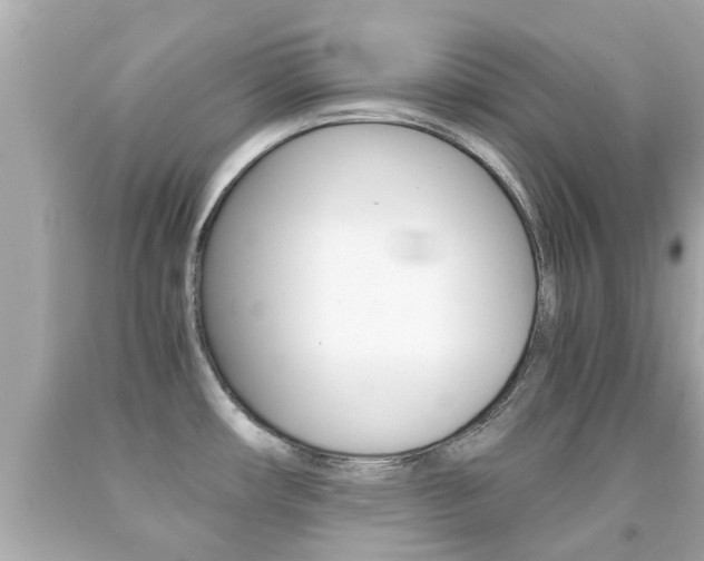 X0000091861482200709050946