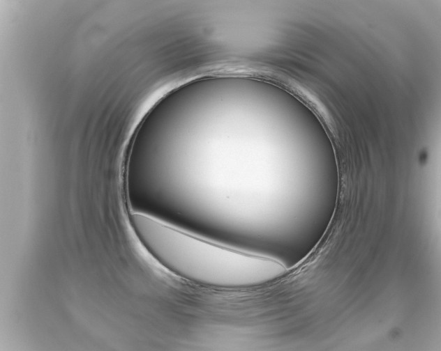 X0000091861483200709050946