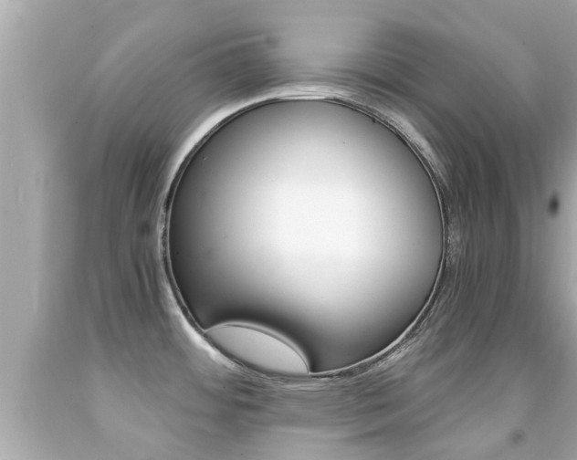 X0000091861484200709050946