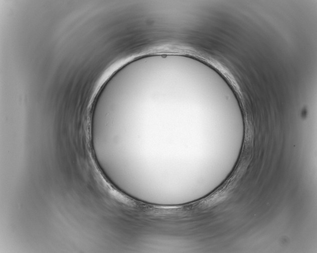 X0000091861486200709050946