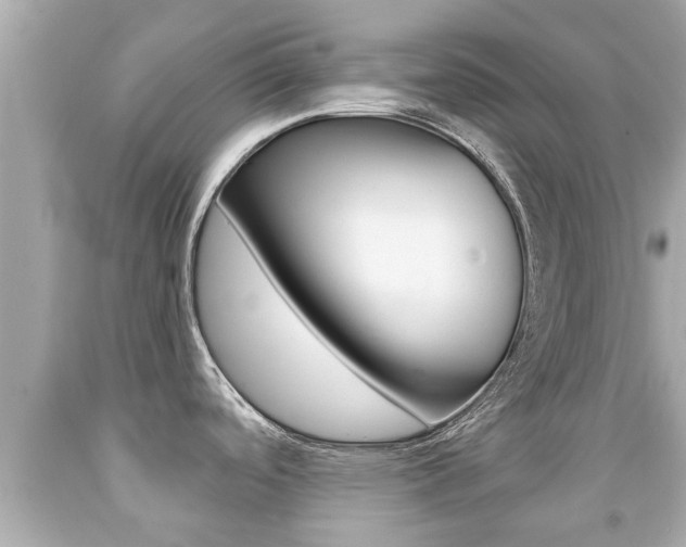 X0000091861488200709050946