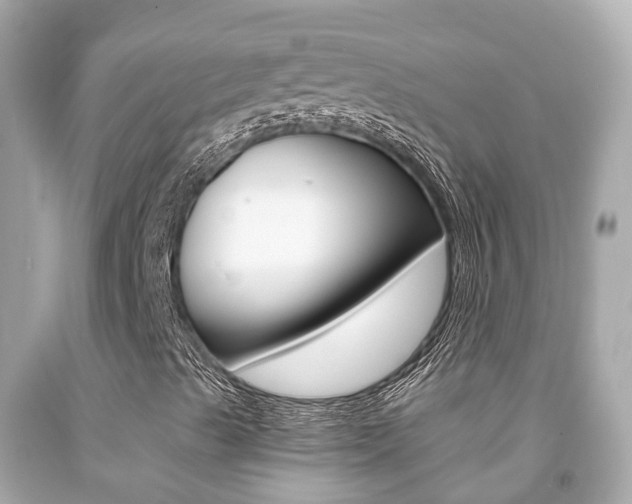 X0000091861489200709050945