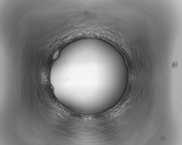X0000091861490200709050945
