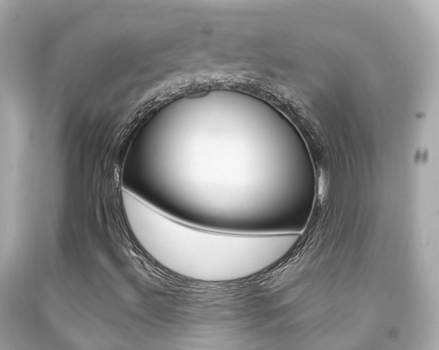 X0000091861492200709050945
