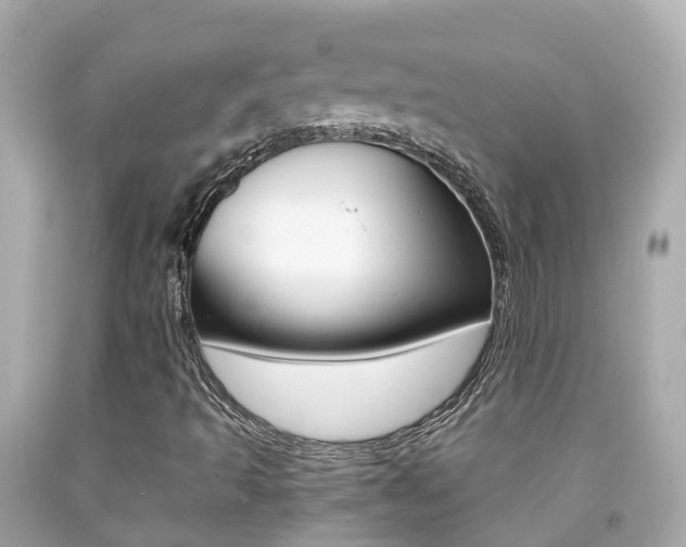 X0000091861493200709050945
