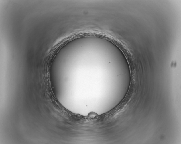 X0000091861494200709050945