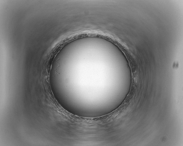 X0000091861495200709050945