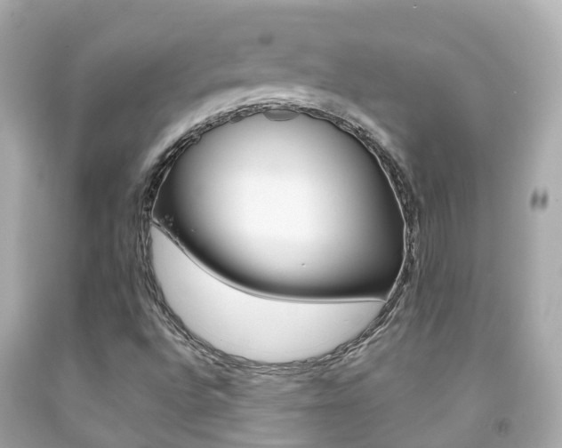 X0000091861496200709050945