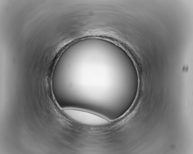 X0000091861497200709050945