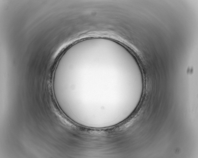 X0000091861498200709050945
