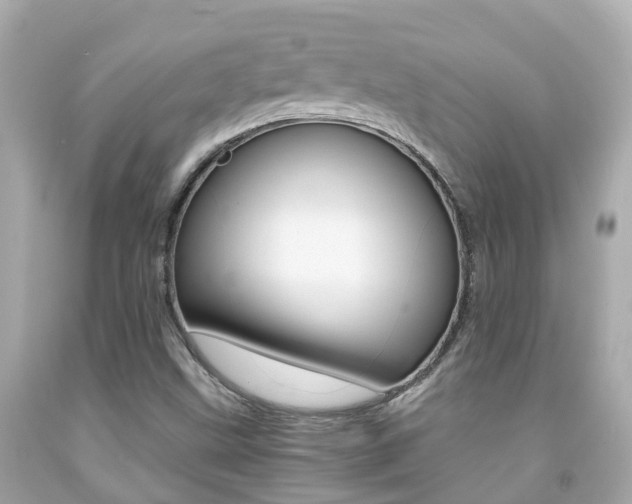 X0000091861499200709050945