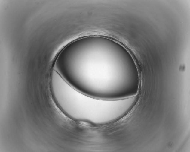 X0000091861500200709050945