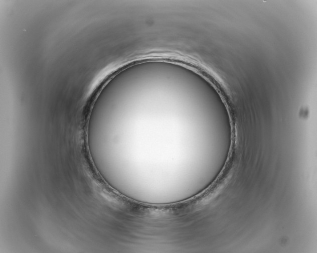 X0000091861501200709050945