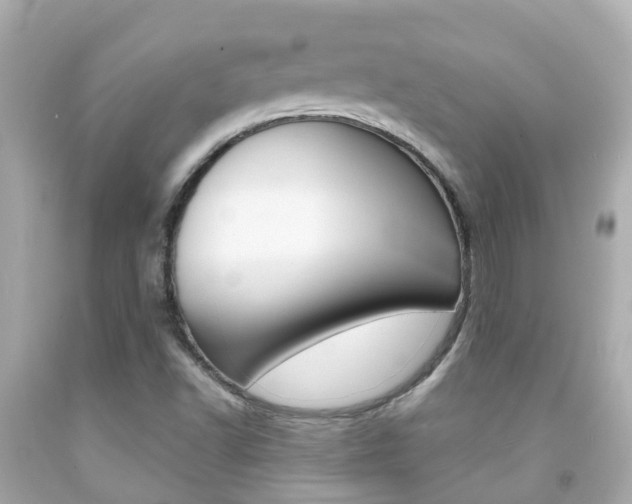 X0000091861502200709050945