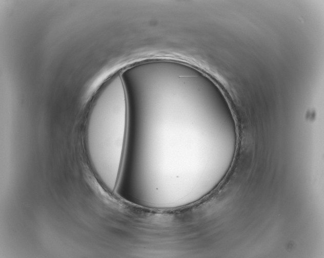 X0000091861503200709050945