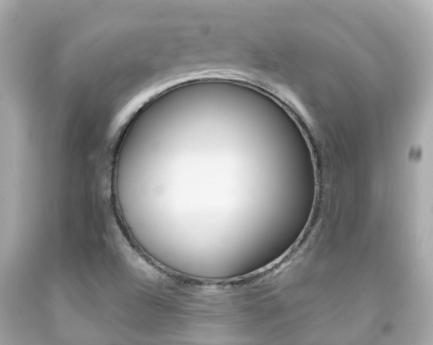 X0000091861504200709050946