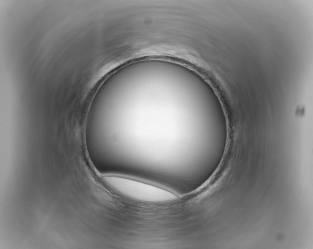 X0000091861505200709050946
