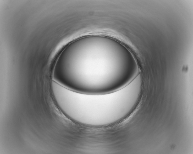 X0000091861506200709050946