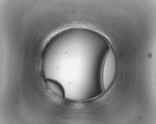 X0000091861507200709050946