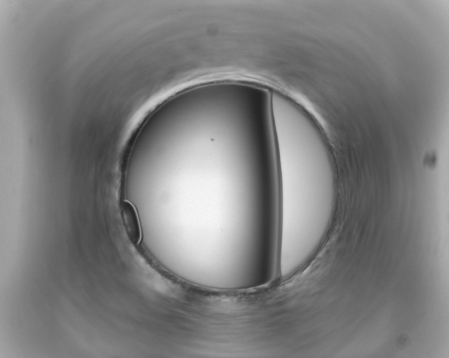 X0000091861508200709050946