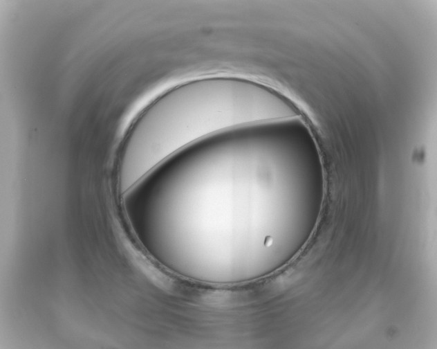 X0000091861510200709050946