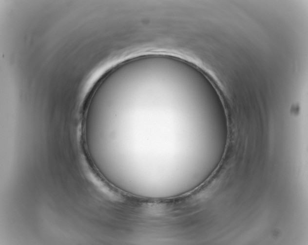 X0000091861511200709050946