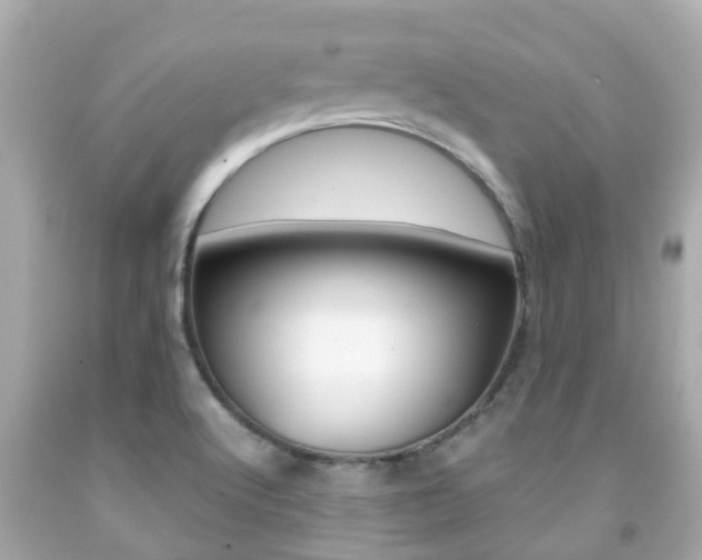 X0000091861512200709050946