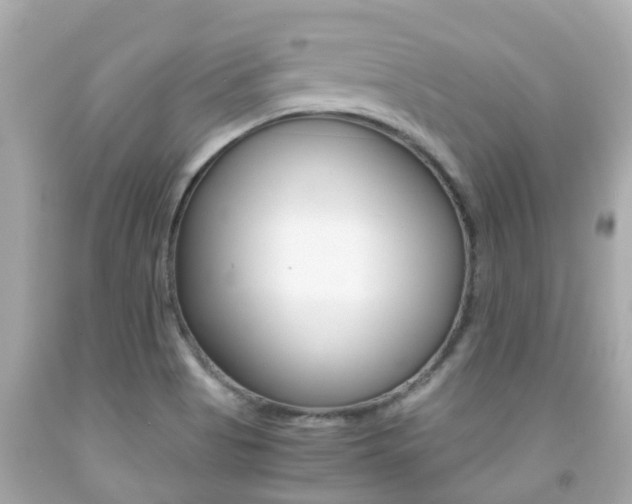 X0000091861513200709050946