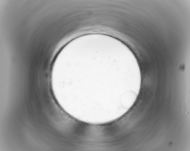 X0000091861514200709050946