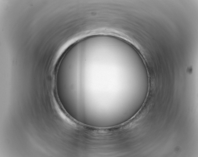 X0000091861515200709050946