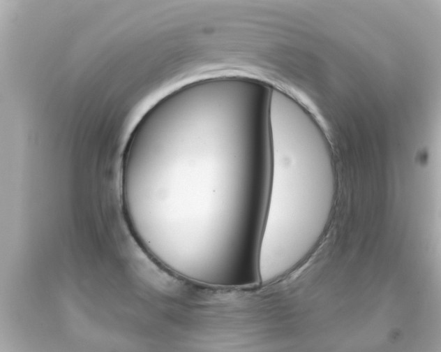 X0000091861516200709050946