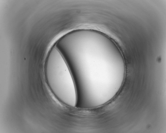 X0000091861517200709050946