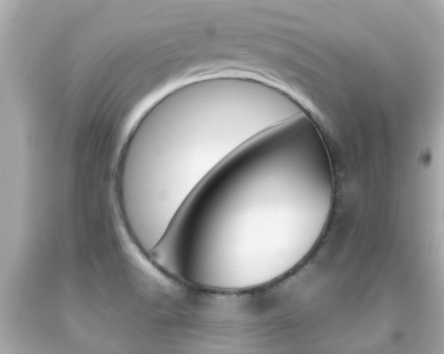 X0000091861518200709050946