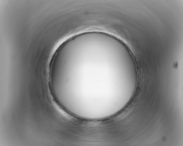 X0000091861519200709050946
