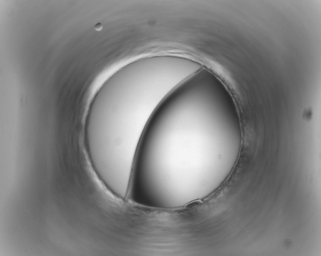 X0000091861520200709050946