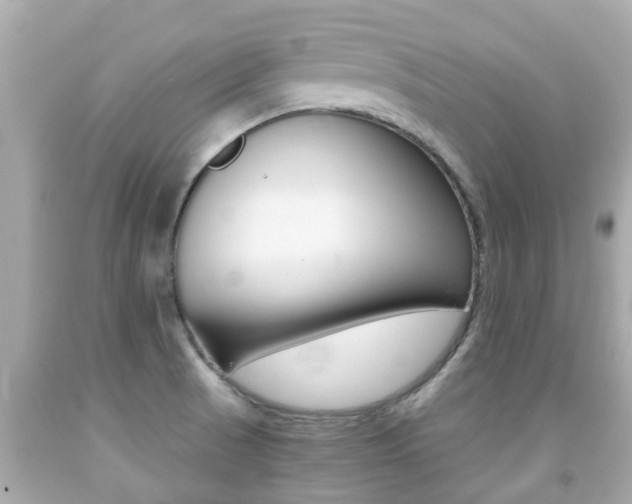 X0000091861521200709050946