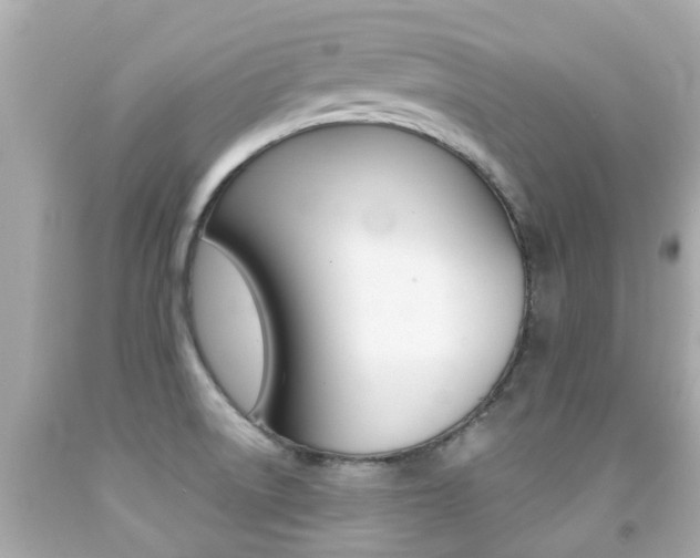 X0000091861522200709050946