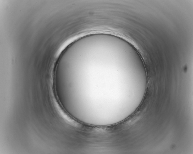 X0000091861523200709050946