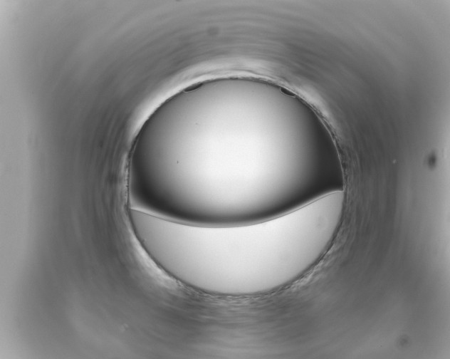 X0000091861524200709050946