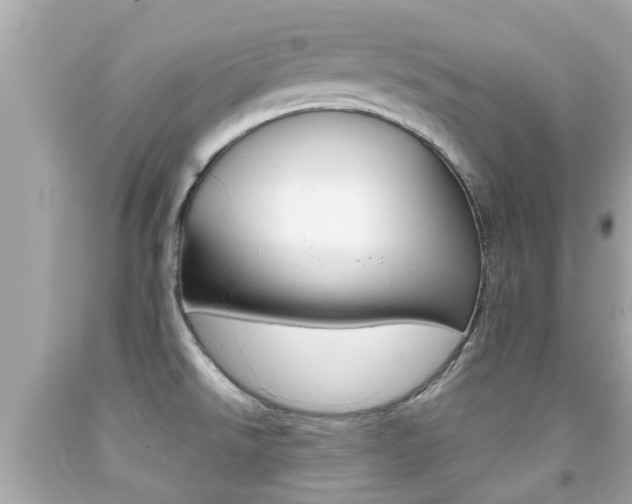 X0000091861526200709050946