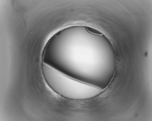 X0000091861527200709050946