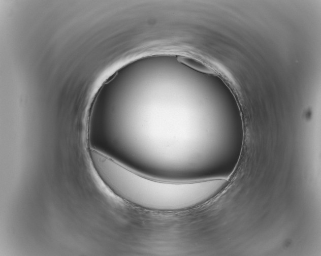 X0000091861528200709050946