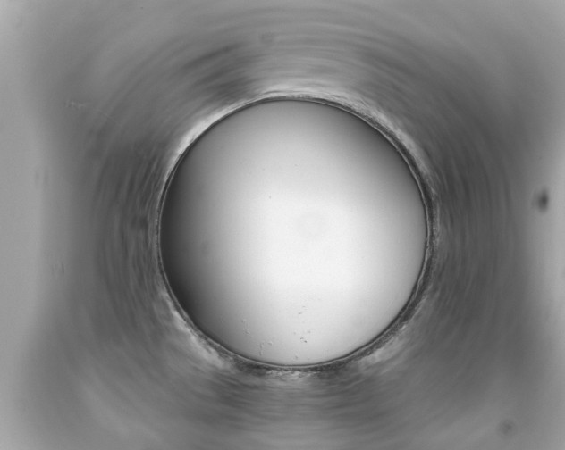 X0000091861529200709050946